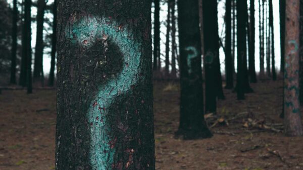 Should you go to SOS21? Here are the reasons why...